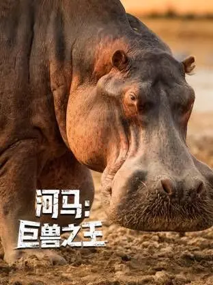 《河马：巨兽之王》震撼来袭！探索非洲草原霸主的神秘生活与惊人力量！