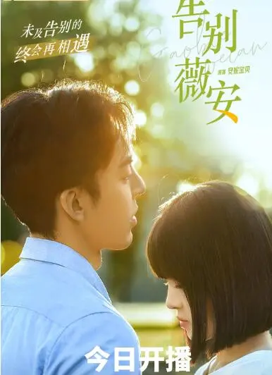 《告别薇安》：都市情感浮沉下的女性觉醒，一场关于爱与放手的深刻告白